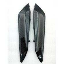 Kit de Soportes de Electronica de Carbono Panigale 899 959 1199 1299