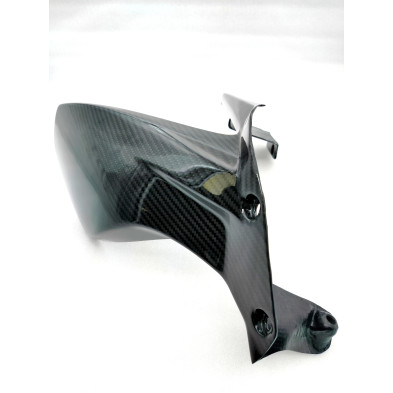 Guardabarros Trasero de Carbono Panigale V4