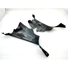 Tapas de Entrada de Aire en Carbono Panigale V4