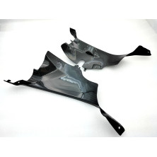 Tapas de Entrada de Aire en Carbono Panigale V4