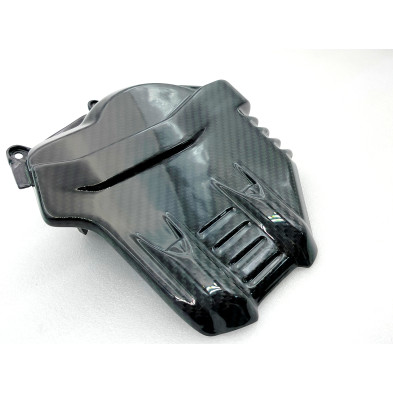 Tapa Culata Carbono Panigale Streetfighter V4 2020