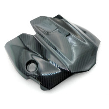 Paso de Rueda en Carbono Monster 821 1200