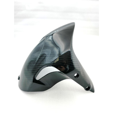 Guardabarros Delantero de Carbono Diavel 2010-2018