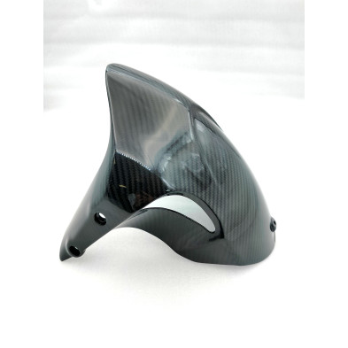 Guardabarros Delantero de Carbono Diavel 2010-2018