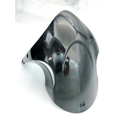 Guardabarros Delantero de Carbono Diavel 2010-2018