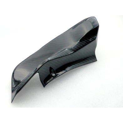 Tapa Lateral Izquierda en Carbono Monster 821 1200