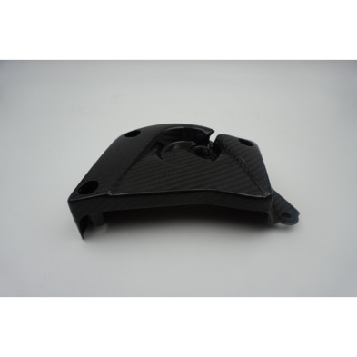 Tapa de piñón en carbono BMW S1000RR S1000R S1000XR HP4