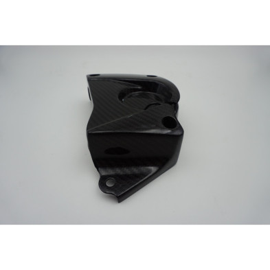 Tapa de piñón en carbono BMW S1000RR S1000R S1000XR HP4