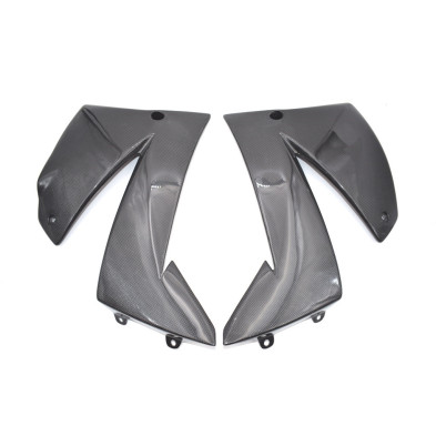 Tapas Laterales de Carbono  KTM Superduke 640 1999 - 2007