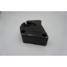 Tapa de piñón en carbono BMW S1000RR S1000R S1000XR HP4