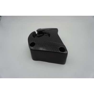 Tapa de piñón en carbono BMW S1000RR S1000R S1000XR HP4
