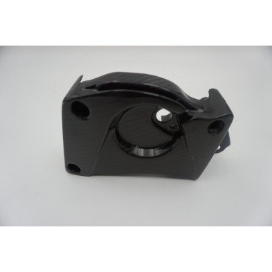 Tapa de piñón en carbono BMW S1000RR S1000R S1000XR HP4