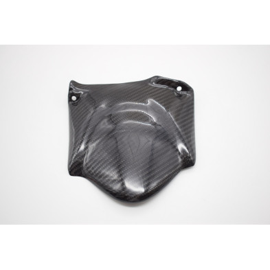 Guardabarros Trasero Carbono 999 749 2003-2004