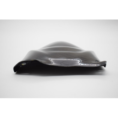Guardabarros Trasero Carbono 999 749 2003-2004