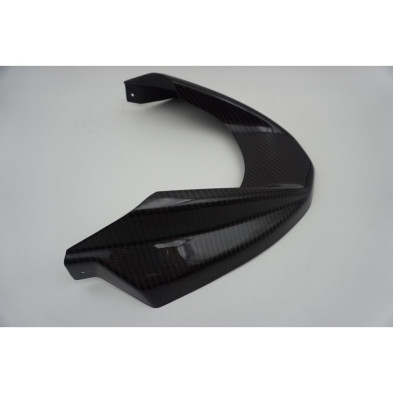 Extensión delantera pico pato en carbono BMW R1200GS ADV