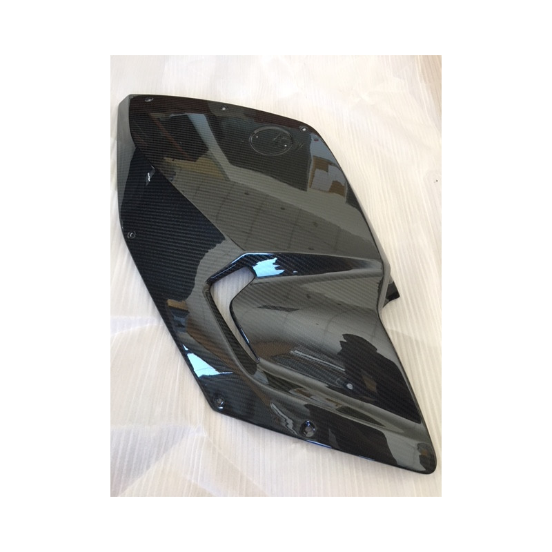 Tapas laterales de Carbono BMW K1300S