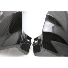Tapas de radiador en carbono BMW K1200R