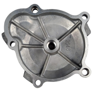 Tapa Motor SUZUKI GSXR1300 Hayabusa 1999-2002