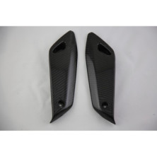 Laterales carbono guardabarros BMW R1200R
