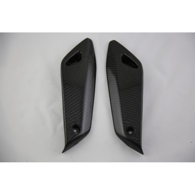 Laterales carbono guardabarros BMW R1200R