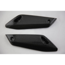 Laterales carbono guardabarros BMW R1200R