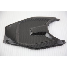 Tapa de bateria de carbono BMW K1300S K1200S