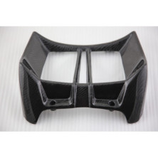 Tapa de radiador de carbono BMW R1200R