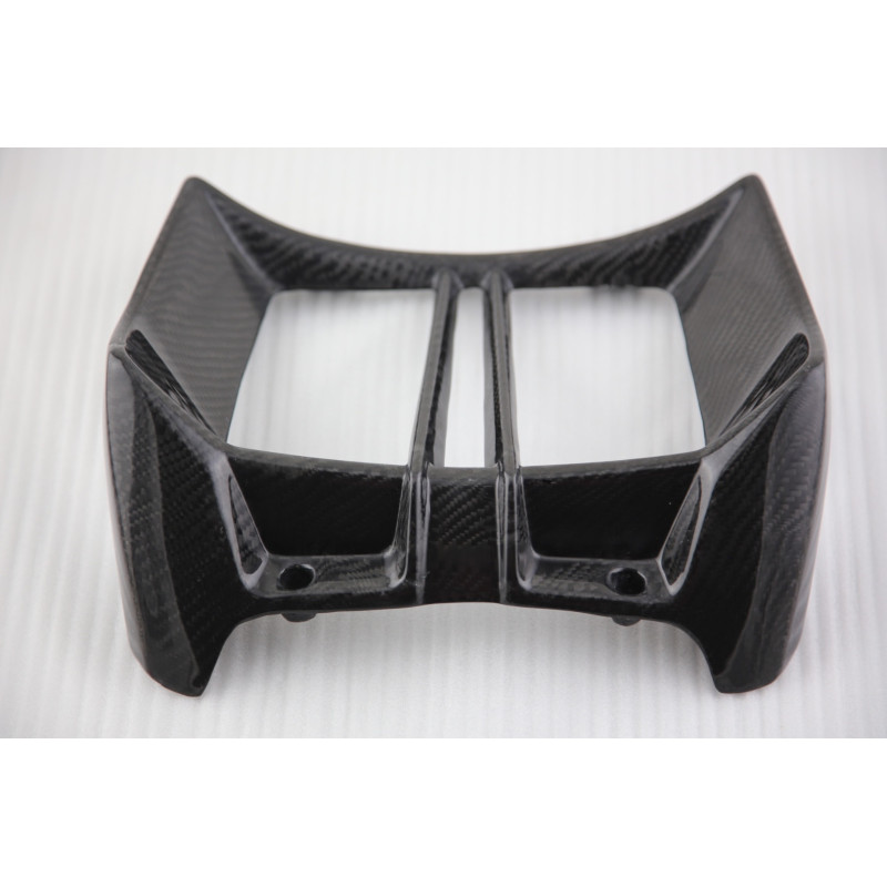 Tapa de radiador de carbono BMW R1200R