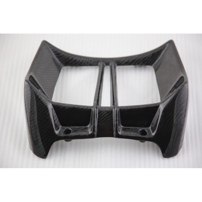 Tapa de radiador de carbono BMW R1200R