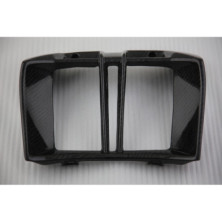 Tapa de radiador de carbono BMW R1200R