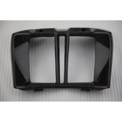 Tapa de radiador de carbono BMW R1200R