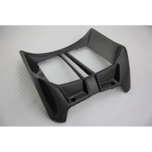 Tapa de radiador de carbono BMW R1200R