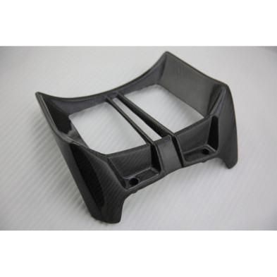 Tapa de radiador de carbono BMW R1200R