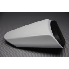 Tapa de Colin KAWASAKI ZX-10R 2008-2010