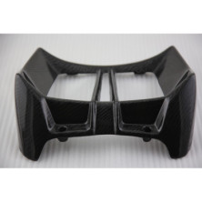 Tapa de radiador de carbono BMW R1200R