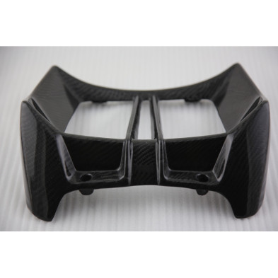 Tapa de radiador de carbono BMW R1200R