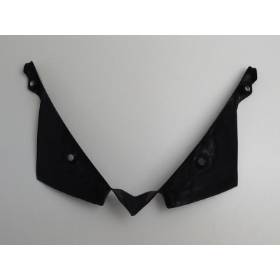 Tapa interior de cupula carbono BMW K1300S