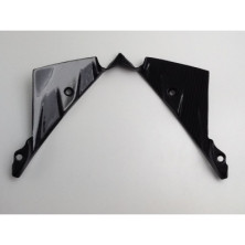 Tapa interior de cupula carbono BMW K1300S