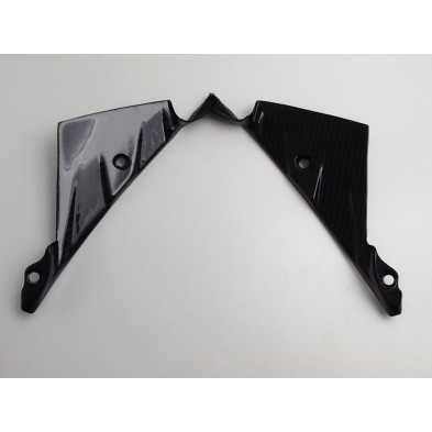 Tapa interior de cupula carbono BMW K1300S