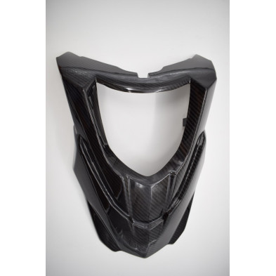 Pico pato con extensiones de carbono BMW G650GS