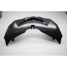 Pico pato con extensiones de carbono BMW G650GS