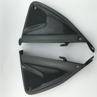 Paneles Internos Carbono Hypermotard 821 939