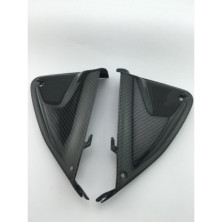 Paneles Internos Carbono Hypermotard 821 939