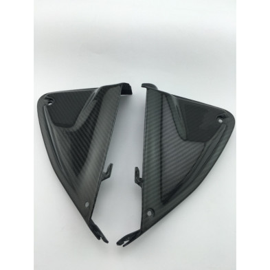 Paneles Internos Carbono Hypermotard 821 939