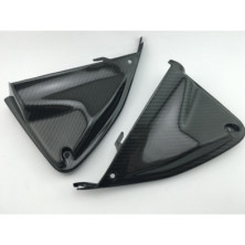 Paneles Internos Carbono Hypermotard 821 939